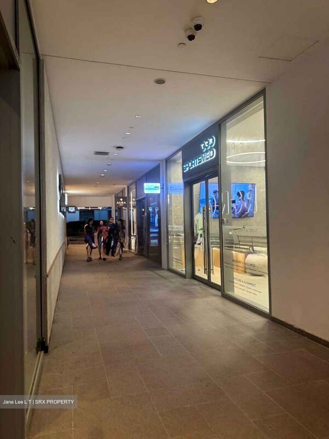 One Holland Village (D10), Shop House #498077451